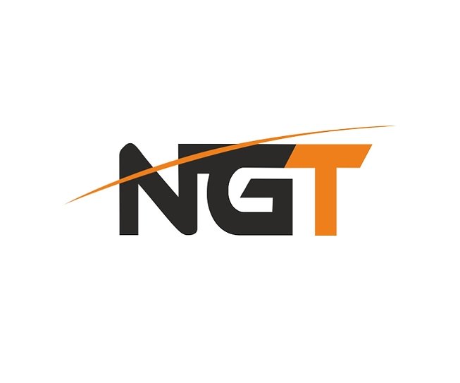 NGT 4m Quickfish Telescopic Whip with Pole Rig and Disgorger
